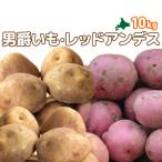  мужчина ...& красный Anne tes10kg овощи комплект [2026 год осень .. Hokkaido подлинный .. производство [ Hokkaido / подлинный ./ подлинный . производство / мужчина ./ Anne tes красный / дорога производство / Hokkaido производство / прекрасный тест ..]