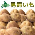  мужчина ...[2026 год осень ..] Hokkaido подлинный .. производство [ Hokkaido / подлинный ./ подлинный . производство / мужчина . клубень / дорога производство / Hokkaido производство / прекрасный тест ../ картофель / мужчина .]