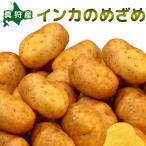  in ka. ...[2026 год осень .. Hokkaido подлинный .. производство [ Hokkaido / подлинный ./ подлинный . производство / in ka. глаз ../ дорога производство / Hokkaido производство / прекрасный тест ../ картофель /jagaimo]