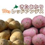 ki....& красный Anne tes10kg овощи комплект [2026 год осень .. Hokkaido подлинный .. производство [ Hokkaido / подлинный . производство /...../ Anne tes красный / Hokkaido производство / прекрасный тест ..]