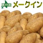 me-k in [2026 год осень .. Hokkaido подлинный .. производство [ Hokkaido / подлинный ./ подлинный . производство /mei Queen / дорога производство / Hokkaido производство / картофель ]