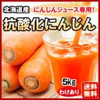  морковь 5kg Hokkaido производство есть перевод обработка для морковь человек Gin местного производства прохладный рейс M размер .. сельское хозяйство .