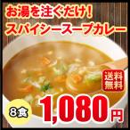 スープカレー8食入粉末タイプカレー...