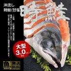 [ бесплатная доставка ] Россия производство . сток час лосось (. соль ) большой 3 kilo и больше 1 подлинный товар ( несессер входить * вакуум упаковка )