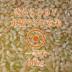 北海道産米 きらら397 玄米 30kg 令和6年産 一等米