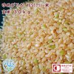 YES!clean ゆめぴりか 玄米 30kg 令和6年産 一等米 北海道産 第一区分 品位検査済認証品 YES!クリーン米