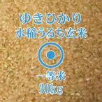 アトピー お米アレルギー 玄米 ゆきひかり　新米 令和7年産 北海道産 ゆきひかり 玄米 30kg 一等米 北海道米