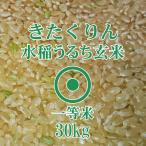 ★北海道のクリーンなお米。東川の「きたくりん」！　北海道産 きたくりん 玄米 30kg 令和7年産【東川米】一等米 爆買 北海道米