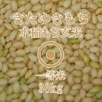 新米　きたゆきもち　玄米　30kg　令和４年産　一等米　北海道米　糯米　もち米