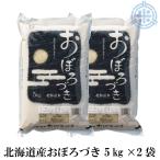 北海道産 おぼろづき(5kg×2袋) 令和5年産 白米 送料無料　低アミロース米 北海道産 米 10kg 米10kg お米 10kg 白米 10kg 真空パック対応