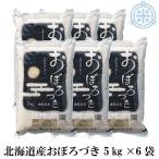 北海道産 おぼろづき 30kg (5kg×6袋)　送料無料 令和7年産 白米 米 30kg お米 30kg 米30kg 送料無　真空パック対応