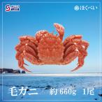  прохладный рейс бесплатная доставка ( Okinawa * исключая отдаленные острова ) шерсть . Hokkaido производство примерно 660g1 хвост четырёхугольный волосатый краб (o сигнал tsuk производство ).... ваш заказ подарок . лет . подарок по случаю конца года 