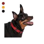  собака ошейник маленький размер собака средний собака M размер модный цвет Lead простой CLASSIC COLLAR man da Lynn Brothers MANDARINE BROTHERS