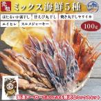 おつまみ 海鮮 ミックス 100g ミックス海鮮 5種セット 100g ホタルイカ 甘エビ スルメジャーキー エイヒレ イ おやつ 海鮮 お花見 肴 詰め合わせ セット
