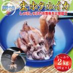 ホタルイカ 刺身用 生 大型 子持ち ほたるいか 2kg (500g×4) 生 ホタルイカ 酒の肴 酒 魚 飯 イカ つまみ 日本酒 焼酎 海鮮 しゃぶしゃぶ ポイント消化