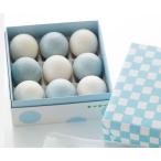 お中元 ギフト 菓匠高木屋 涼味紙ふうせん9個入 季節限定 金沢銘菓 和菓子 送料別