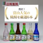 富山の焼酎飲み比べセット 米騒動 銀泉 早月川 300ml 6本 焼酎甲類乙類混和【ギフト】