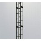 YKKAPウォールエクステリア アルミはしごエクスタラップII 本体ユニット：[幅430mm×高2800mm]　YKK　壁付けはしご　梯子　ハシゴ　屋上　タラップ