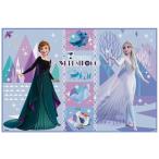スケーター (skater) レジャーシート S 60×90cm アナと雪の女王 21 ディズニー VS1