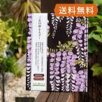 { кошка pohs бесплатная доставка } [ документ . класть .. печать специальный ].. печать держатель | глициния. цветок ( чёрный ).. печать . книга марок nokyo-cho сборник печать . симпатичный 