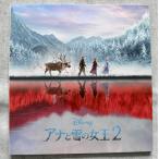  дыра . снег. женщина .2 Disney мюзикл Япония версия проспект 