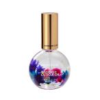  Hawaiian смешанные товары ногти масло сладости bro Sam подарок cutie kru масло лаванда Гаваи смешанные товары земля производство сувенир 