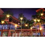 ハワイアン雑貨 インテリア ハワイアン 雑貨 栗山義勝 点灯式 キャンバス パネル絵 (INTER NATIONAL Market PLACE) ハワイアン雑貨 ハワイ お土産 照明