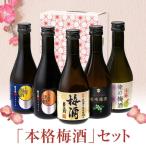 梅酒 ギフト 梅酒飲み比べセット 化粧箱入り (300ml×5本) 本坊酒造