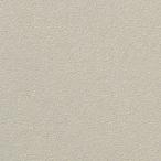 NPKC-150/F43S[ кейс ] Misty fro Akira mikS 150 угол flat LIXIL(INAX)