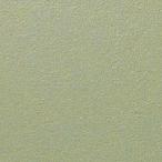 NPKC-150/F93S[ кейс ] Misty fro Akira mikS 150 угол flat LIXIL(INAX)