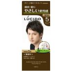 (あわせ買い1999円以上で送料お得)ルシード ワンプッシュケアカラー ナチュラルブラウン