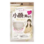 【あわせ買い1999円以上で送料お得】白元アース ビースタイル プリーツタイプ ふつうサイズ ミルクティーベージュ 5枚入