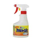 (あわせ買い1999円以上で送料お得)カビトリ用洗剤 泡タイプ 300ml