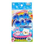 (あわせ買い1999円以上で送料お得)紀陽除虫菊 家庭用プール水の清浄剤 プールの水 キレイ 20錠