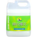 【あわせ買い1999円以上で送料お得】緑の魔女 キッチン 業務用 5L (食器用洗剤) 弱酸性