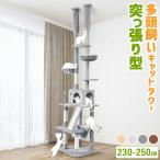 キャットタワー 突っ張り E スリム 木登り おしゃれ かわいい 爪とぎ おもちゃ 運動不足 安定 爪研ぎ 多頭飼い 売切り