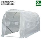 家庭用ハウス ビニールハウス 300x200x200 2坪 菜園ハウス 温室栽培 家庭菜園 ガーデニング 法人宛基本送料無料