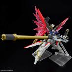 HG 1/144 デスティニーガンダム
