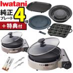 イワタニ カセットコンロ ビストロの達人プラス 焼肉 たこ焼き 網焼き 鉄板焼き プレート セット(ラッピング不可)