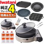 イワタニ カセットコンロ ビストロの達人プラス 焼肉 たこ焼き 網焼き 鉄板焼き プレート ガス3本 セット(ラッピング不可)