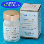 （3ヶ月分セット）ナノ型コンドロイチン 62粒 （サプリメント）  丸共バイオフーズ コンドロイチン （1日2粒でOK 抜群の吸収率 ） （メール便不可）
