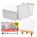 ショッピングキャンバス [アウトレット 訳アリ B品]キャンバスボード 10枚セット 20cm×20cm 中目 張りキャンバス Sサイズ 油絵キャンバス 油彩 ファーストアート [takumu]
