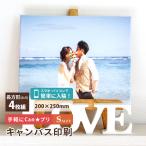  парусина принт фотография парусина фотография panel подарок подарок прямоугольный 20x25cm S размер 4 шт. комплект фото панель искусственная приманка to панель искусственная приманка to панель [takumu]