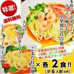 冷やし中華　お取り寄せ　特選冷し中華3種セット　胡麻だれ　中華醤だれ　シークヮーサー　各2食　計6人前　人気冷麺スープ詰め合せ　お試しグルメギフト