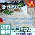 そうめん 素麺 お取り寄せ 熟成そうめん250g×4袋セット たっぷり1キロ入り つるつる食感 人気涼麺 お好みのめんつゆで お試しグルメギフト