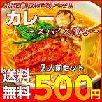 ポイント消化　カレースパイス　ラーメン　500円　とろみ　和風だし　濃厚カレースープ　2人前セット　お取り寄せ　メール便商品　お試しグルメギフト