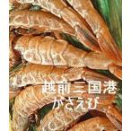 天越丸(福井県坂井市)越前三国 一本凍結 がさえび(エビ・海老) 400g