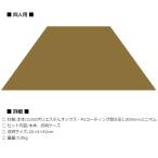 「5/30〜P5％」スノーピーク snowpeak ソルPro. グランドシート4 四人用  「TP-700GS-4」
