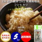 令和5年産 無農薬 有機米 コシヒカリ 食用玄米 ５ｋｇ 水の精 JAS認証 ＥＭ自然農法