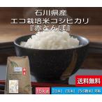 令和7年産 新米 加賀百